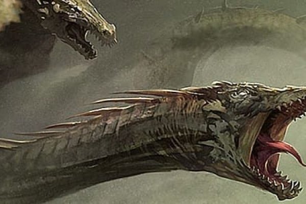 Solaris kraken