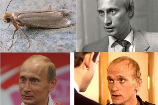 Кракен ссылка рп