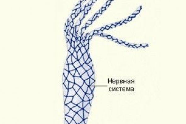 Кракен не работает сегодня