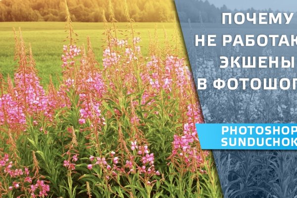 Кракен ссылка тупа германия