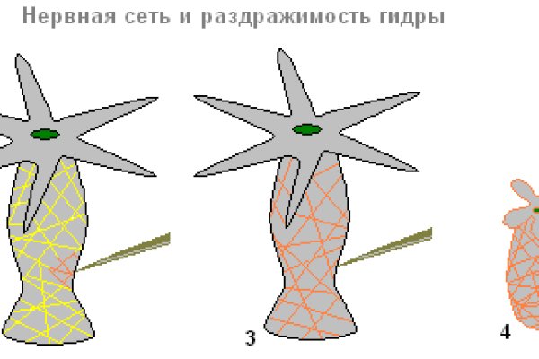 Кракен тор store