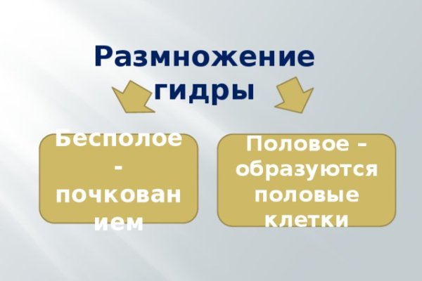 Кракен безопасный вход