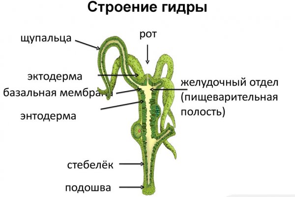 Магазин kraken даркнет
