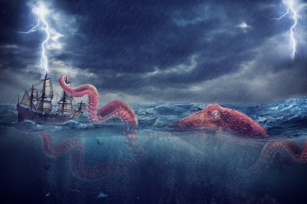 Kraken market3