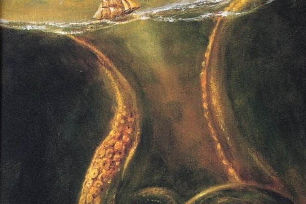 Kraken 24 at