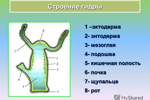 Кракен переход