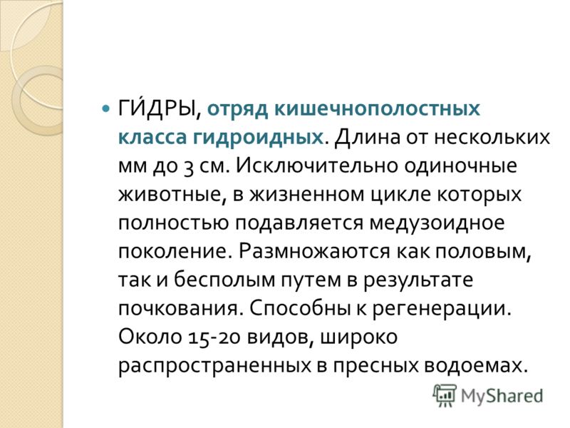 Ссылка на кракен тор магазин